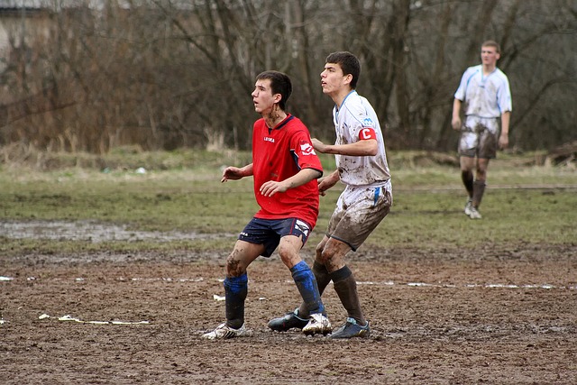 无论是他的 无论是他的