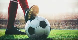 球员都能够 球员都能够