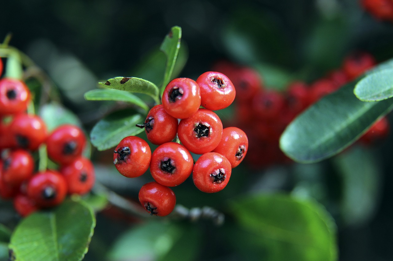 以下是几个 以下是几个