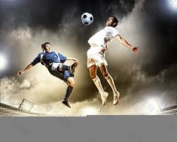 保持草莓新 保持草莓新