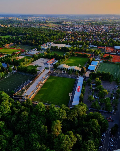 避开彼此 避开彼此