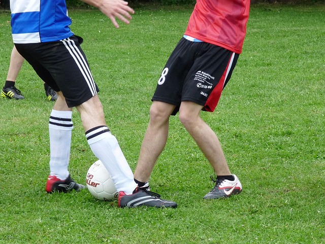 将在安全与 将在安全与