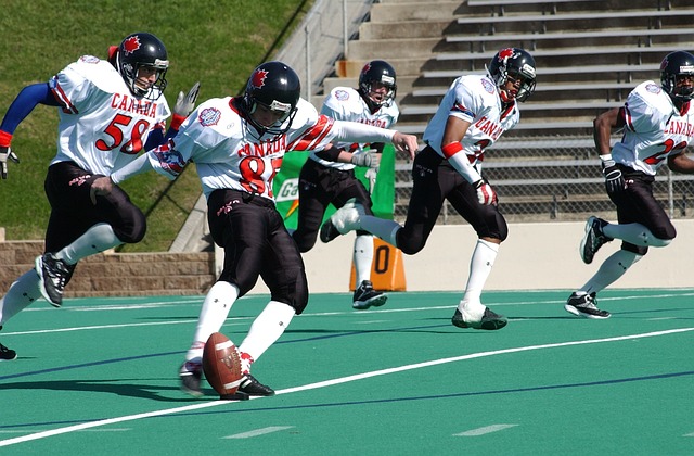 因素影响 因素影响