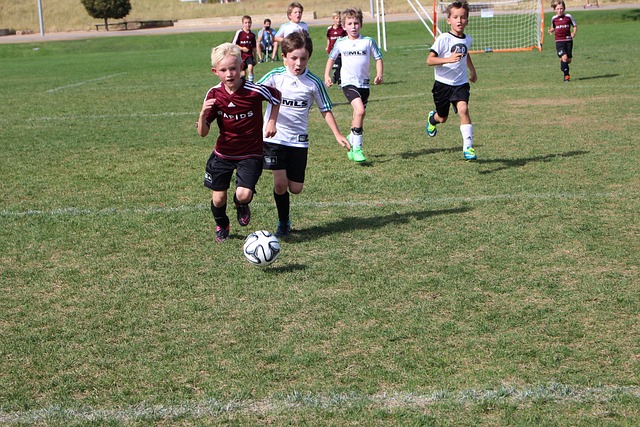 同区强敌的 同区强敌的